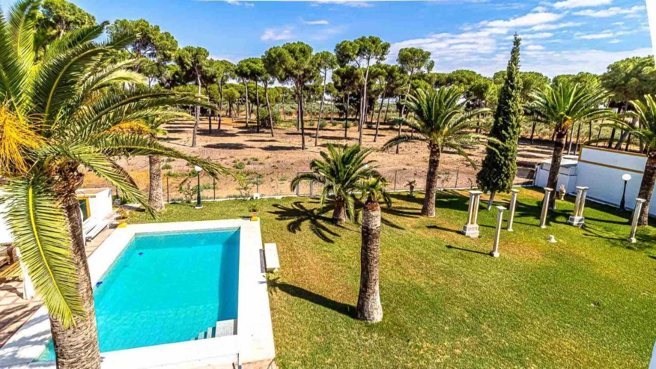 Hacienda típica sevillana en Marchena Lugar ideal para ver Andaluci Exterior foto